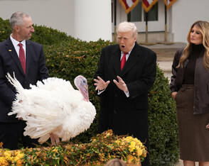 Alle Jahre wieder: Trump begnadigt Thanksgiving-Truthähne