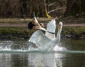 Frühling in Baden-Württemberg