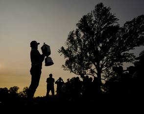 Silhouette