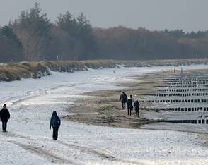 Schnee am Meer